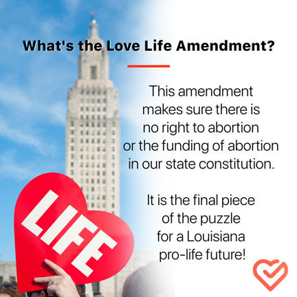 Whats The Love Life Amendment